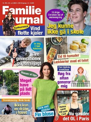 cover image of Familie Journal